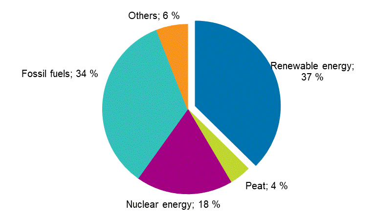 Appendix figure 13. Share of renewables of total primary energy 2019*
