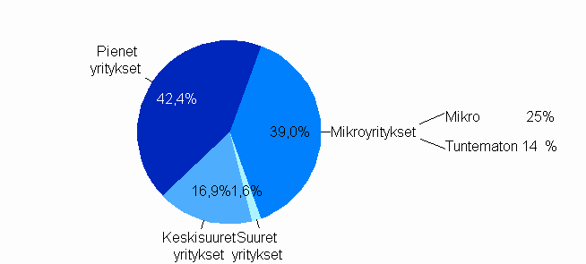 Jakauma maksetuista lainoista ja pääomalainoista yritysten suuruusluokittain 2007