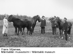 Kolme miestä ja nainen neljän hevosen kanssa hevoshaassa ryhmäkuvassa