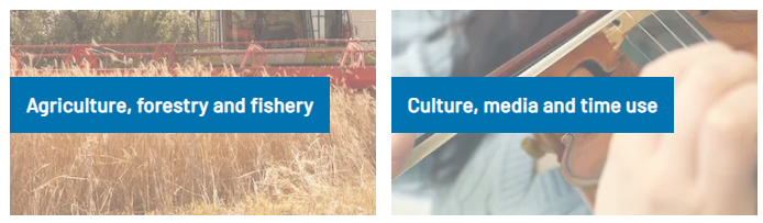 Screenshot. Topics: Agriculture, forestry and fishery; Culture, media and time use.