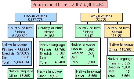 Country of birth, citizenship and mother tongue of the population 31.12.2007